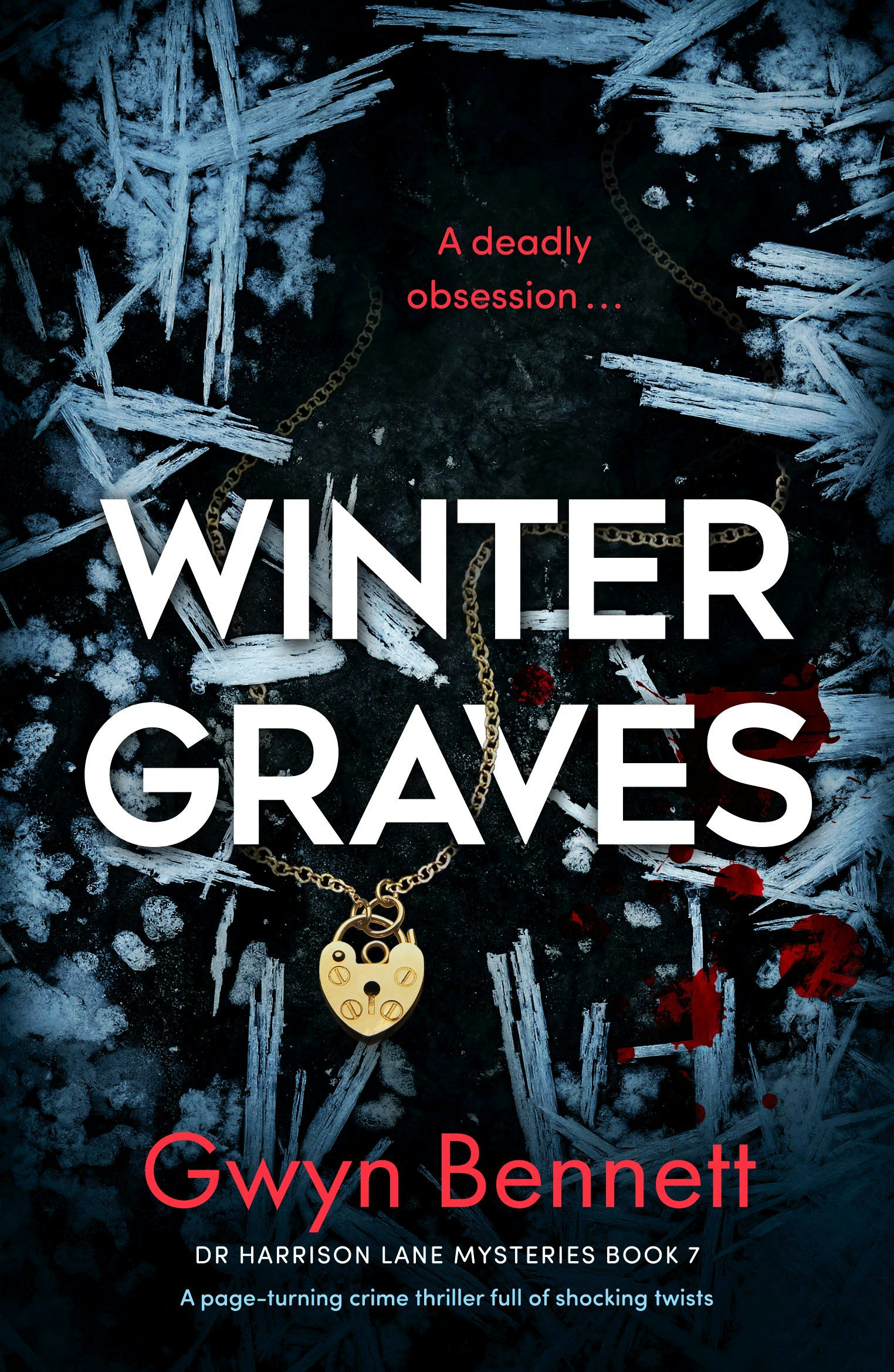 Book cover image for Winter Graves ISBN: 9781805080060